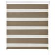 Doppelrollo Emanuel Halbtransparent 90x210 cm - Taupe, MODERN, Textil (90/210cm) - Luca Bessoni