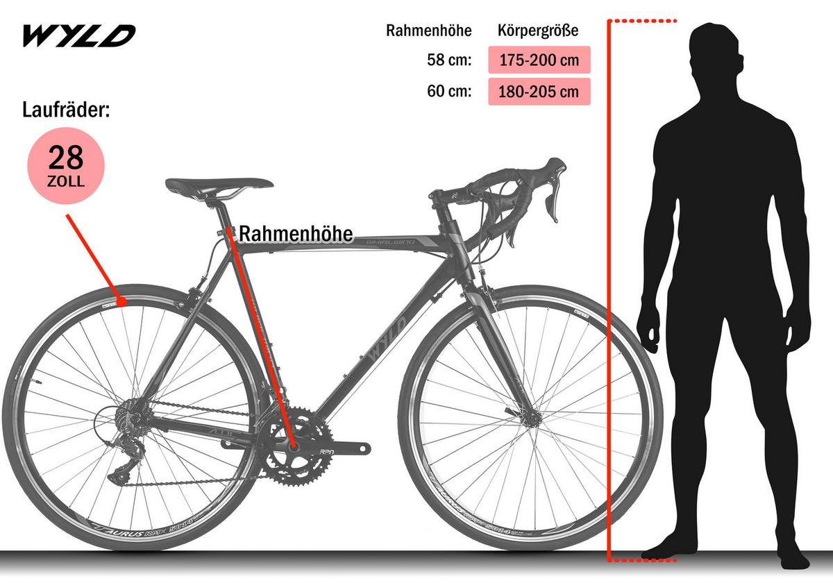 Wyld Rennrad Whirlwind 100 28 Zoll Rh 58 Cm - Schwarz, Basics, Metall