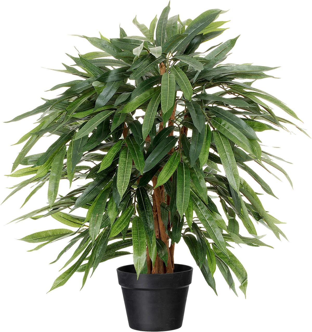 Kunstpflanze H: 80 cm - Schwarz/Braun, Design, Kunststoff (80cm) - P & B