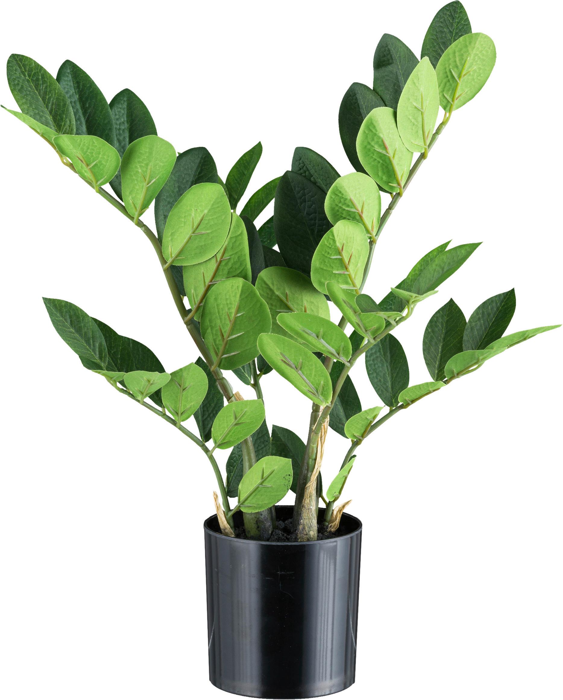 Kunstpflanze H: 45 cm - Schwarz/Braun, Design, Kunststoff (45cm)