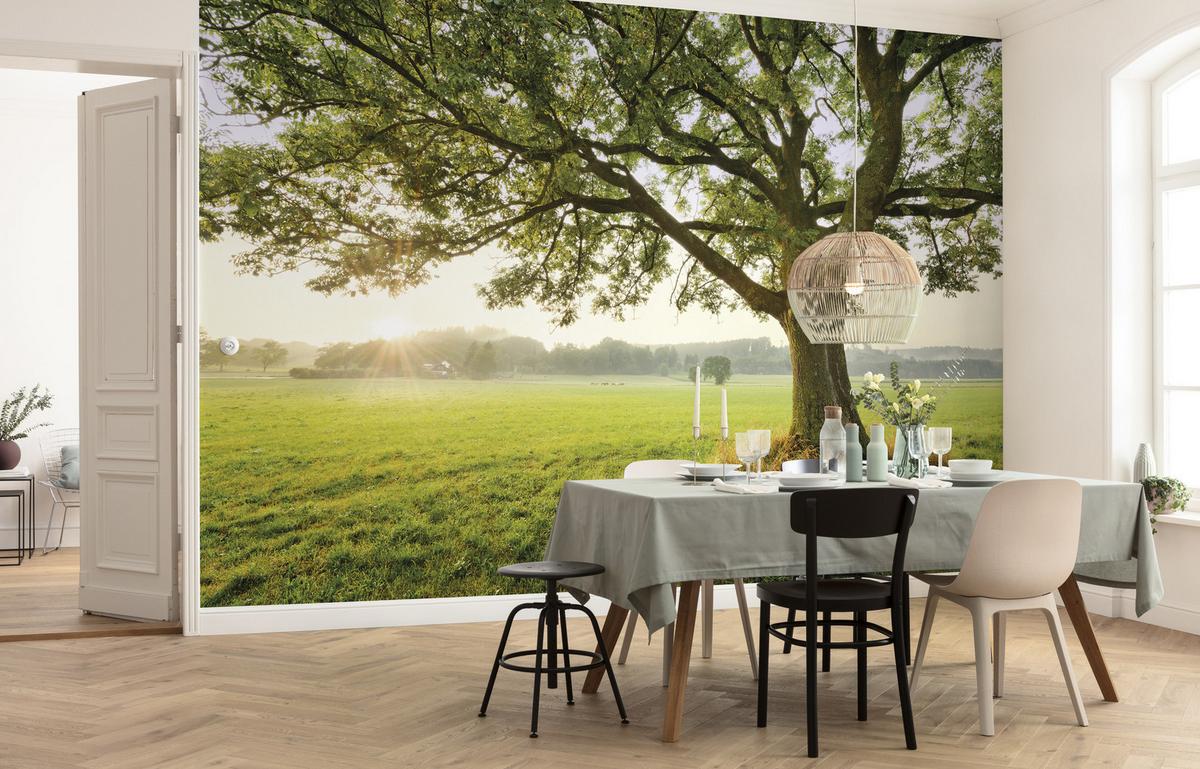Fototapete The Magic Tree - Multicolor, Trend, Textil (450/280cm)