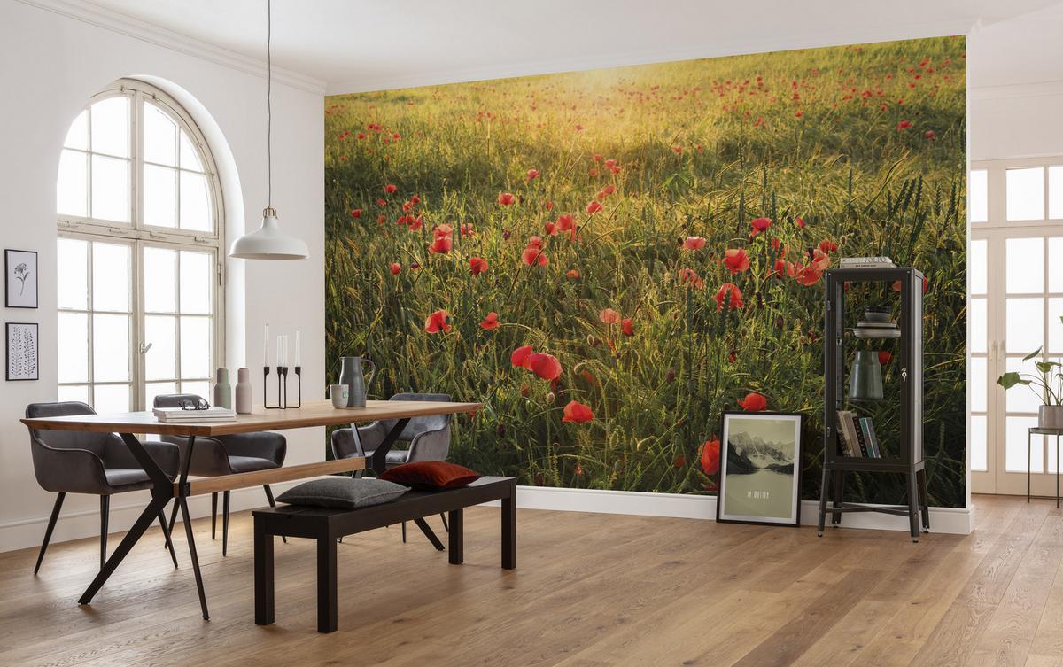 Fototapete Poppy World - Rot/Grün, Trend, Textil (450/280cm)