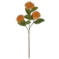 Dekorační větvička IXORAZWEIG, V: 87 cm - oranžová/bílá, Konvenční, plast (87cm) - Mömax