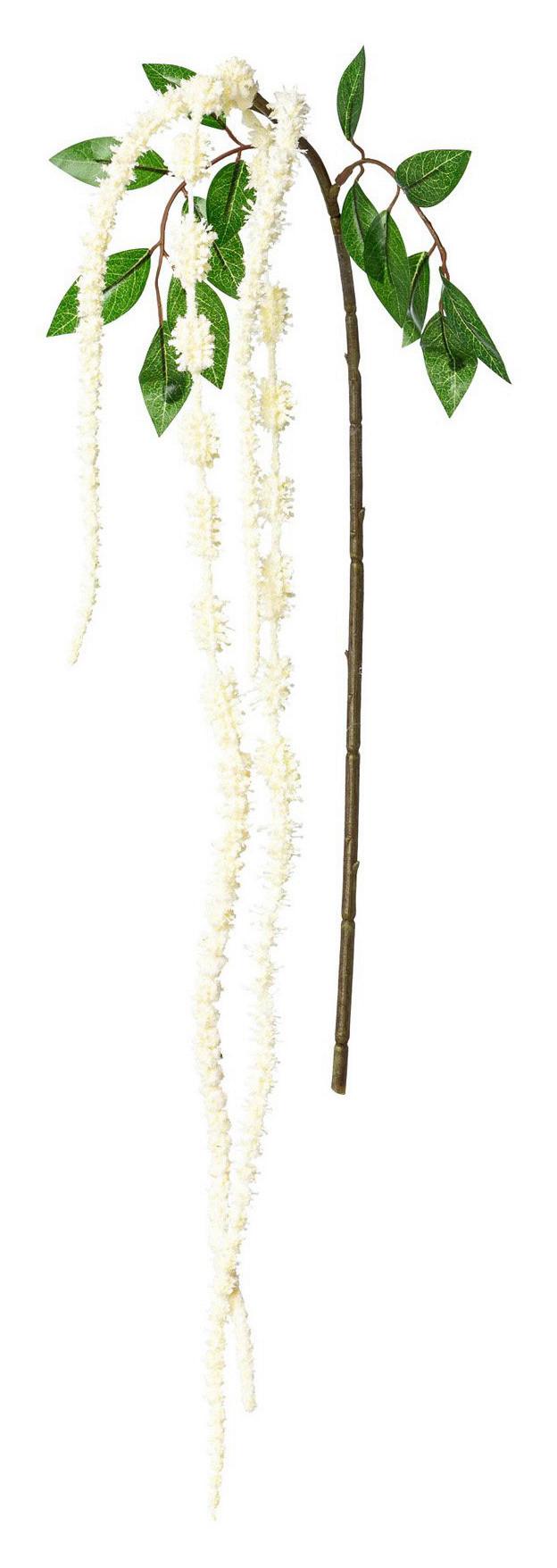 Amaranth-Dekozweig mit weißen Dolden