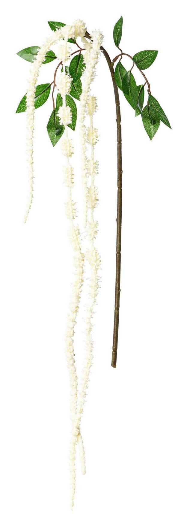 Dekozweig Amaranth Weiß L: 109 cm, Amaranthus - Weiß/Braun, Basics, Kunststoff (109cm)