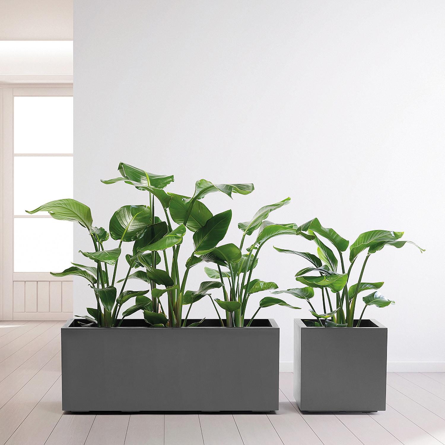Blumenkasten Anthrazit B: 99,5 cm - Anthrazit, Basics, Kunststoff (99,5/39,5/39,5cm)
