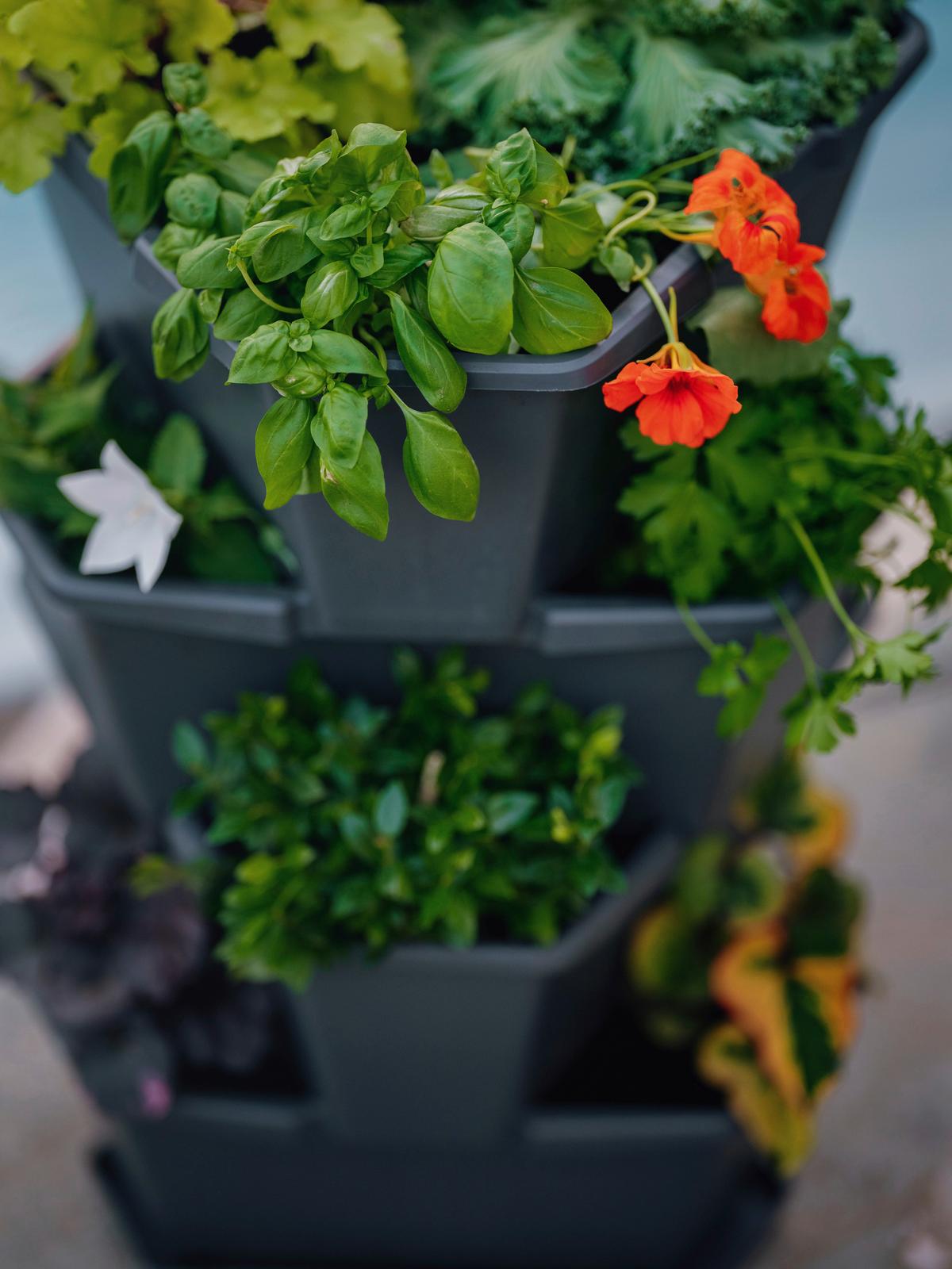 Übertopf Paul Kunststoff Outdoor B/H/T: 44x65x44 cm - Anthrazit, Basics, Kunststoff (44/65/44cm) - Gusta Garden