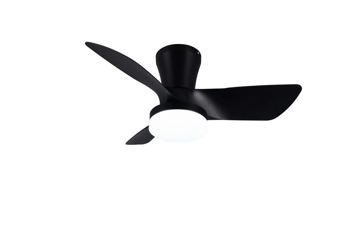 Deckenventilator Randers Schwarz D: 76 cm - Schwarz, KONVENTIONELL, Kunststoff (76,0/26,0cm)