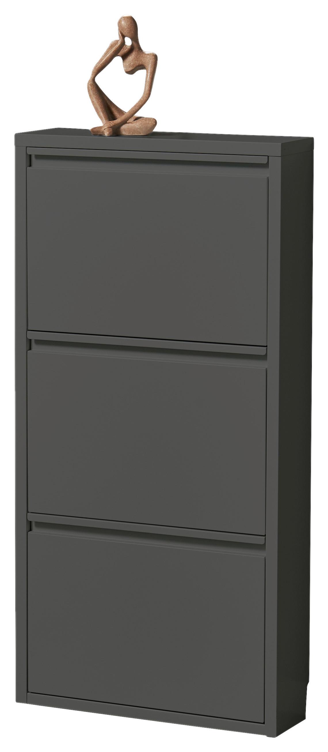 Vyklápěcí botník BERT antracit - antracitová, Konvenční, kov (51/104/16cm) - Mömax