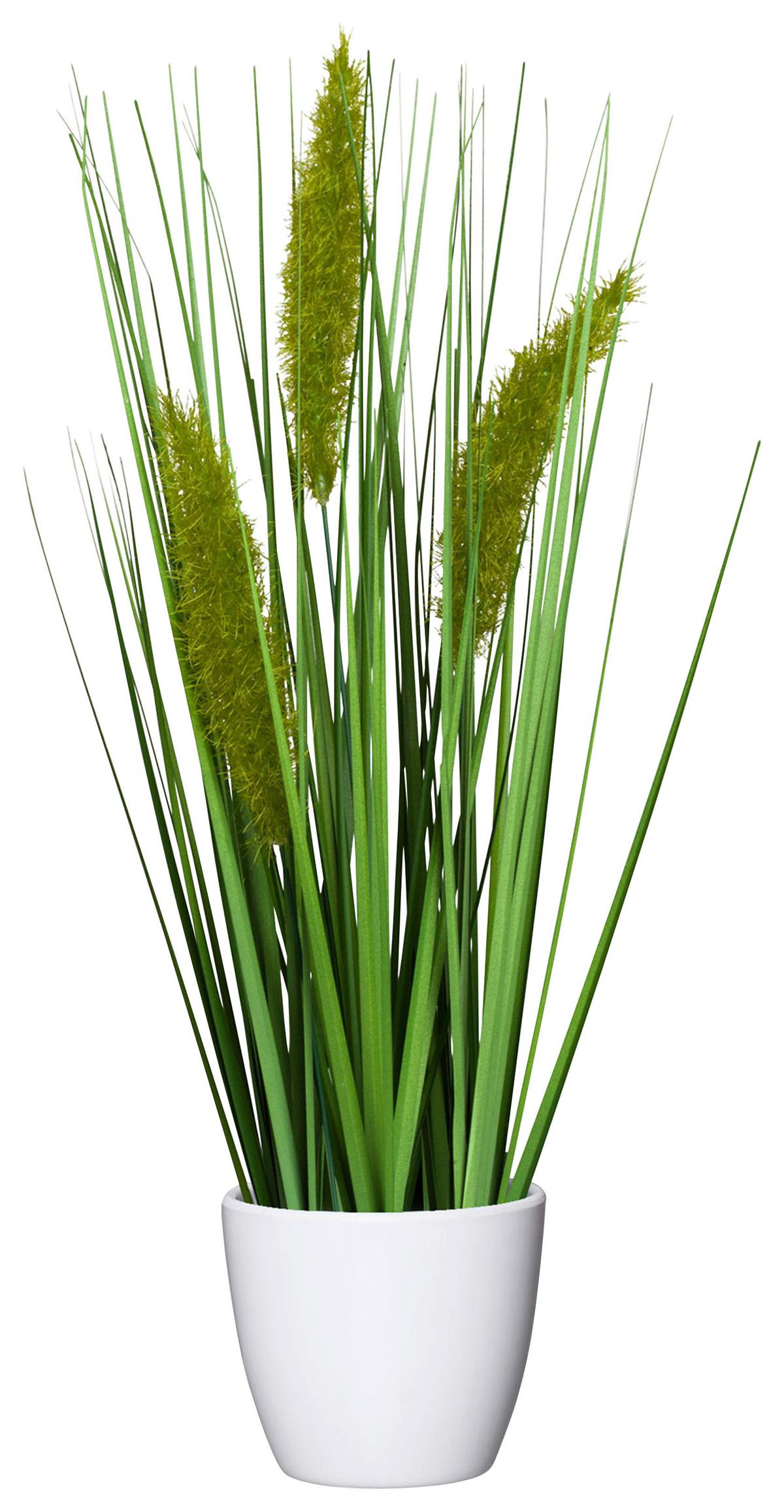 SVAZEK TRÁVY JIMMY - zelená, Konvenční, plast (37cm) - Modern Living