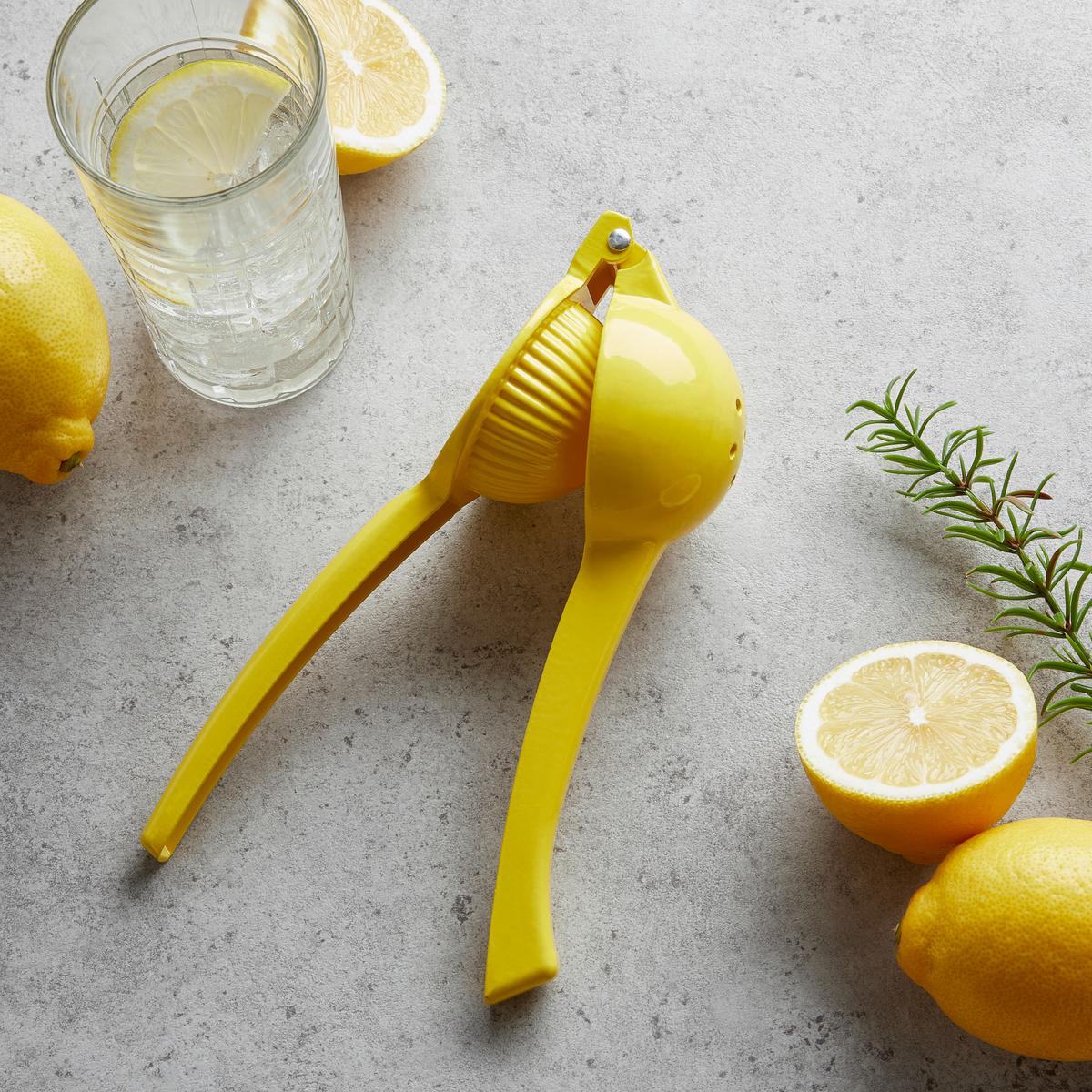 Lis na citrón FRESH - žlutá, Konvenční, kov (7,5/22cm) - Mömax