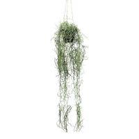 Umelá rastlina Tilandsie, 80cm - zelená, Basics, plast (80cm) - Modern Living