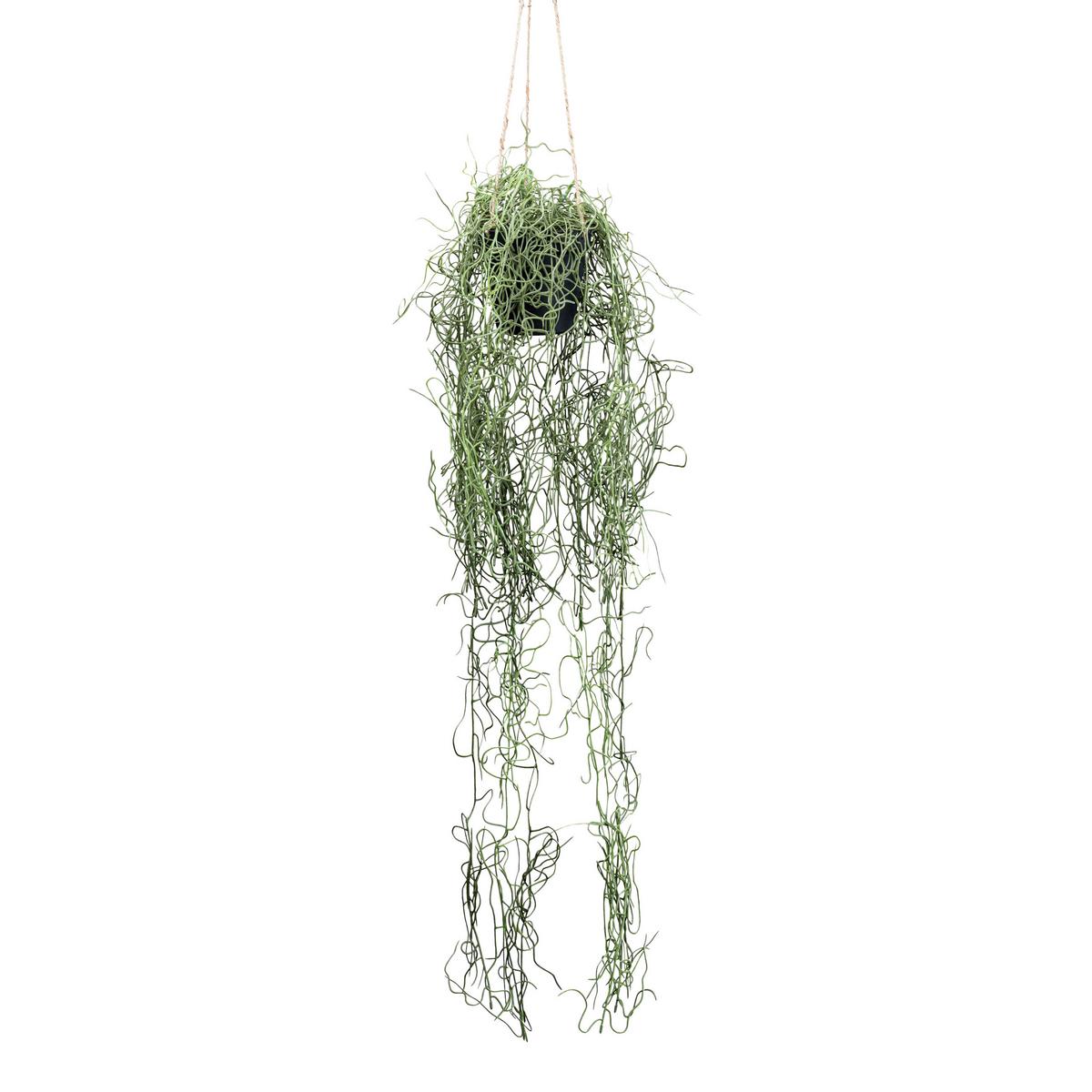 Umelá rastlina Tilandsie, 80cm - zelená, Basics, plast (80cm) - Modern Living