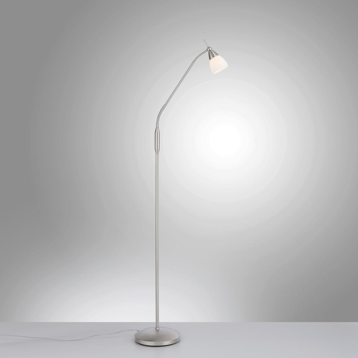 LED-Stehleuchte 400-55 Pino - Edelstahlfarben, Basics, Glas/Metall (74/74/163cm) - Paul Neuhaus
