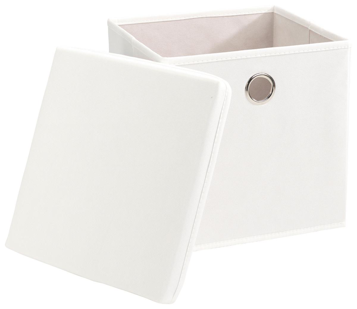 Aufbewahrungsbox Echtwerk Falt/aufbewahrungsbox - Weiß, Design, Textil (30/30/30cm) - Echtwerk