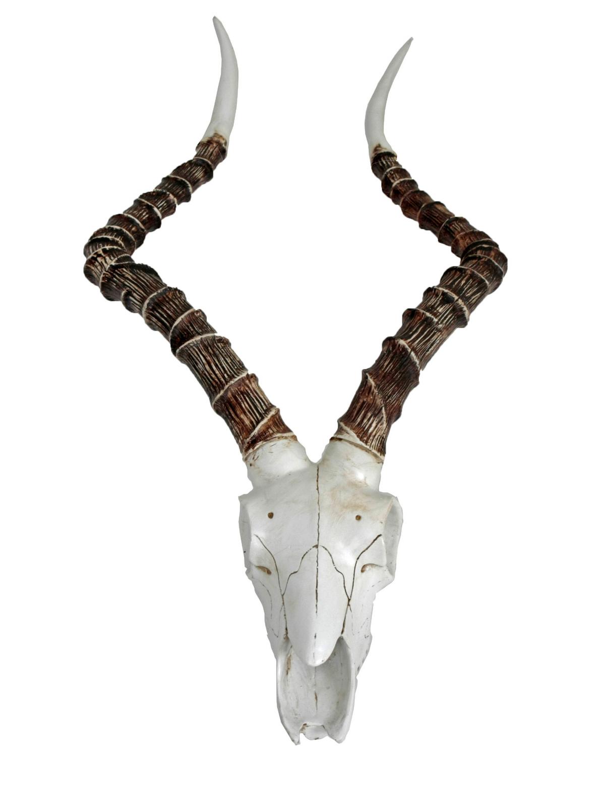 Geweih Braun Weiß B: 33 cm - Braun/Weiß, LIFESTYLE, Kunststoff (33/64/11,5cm)