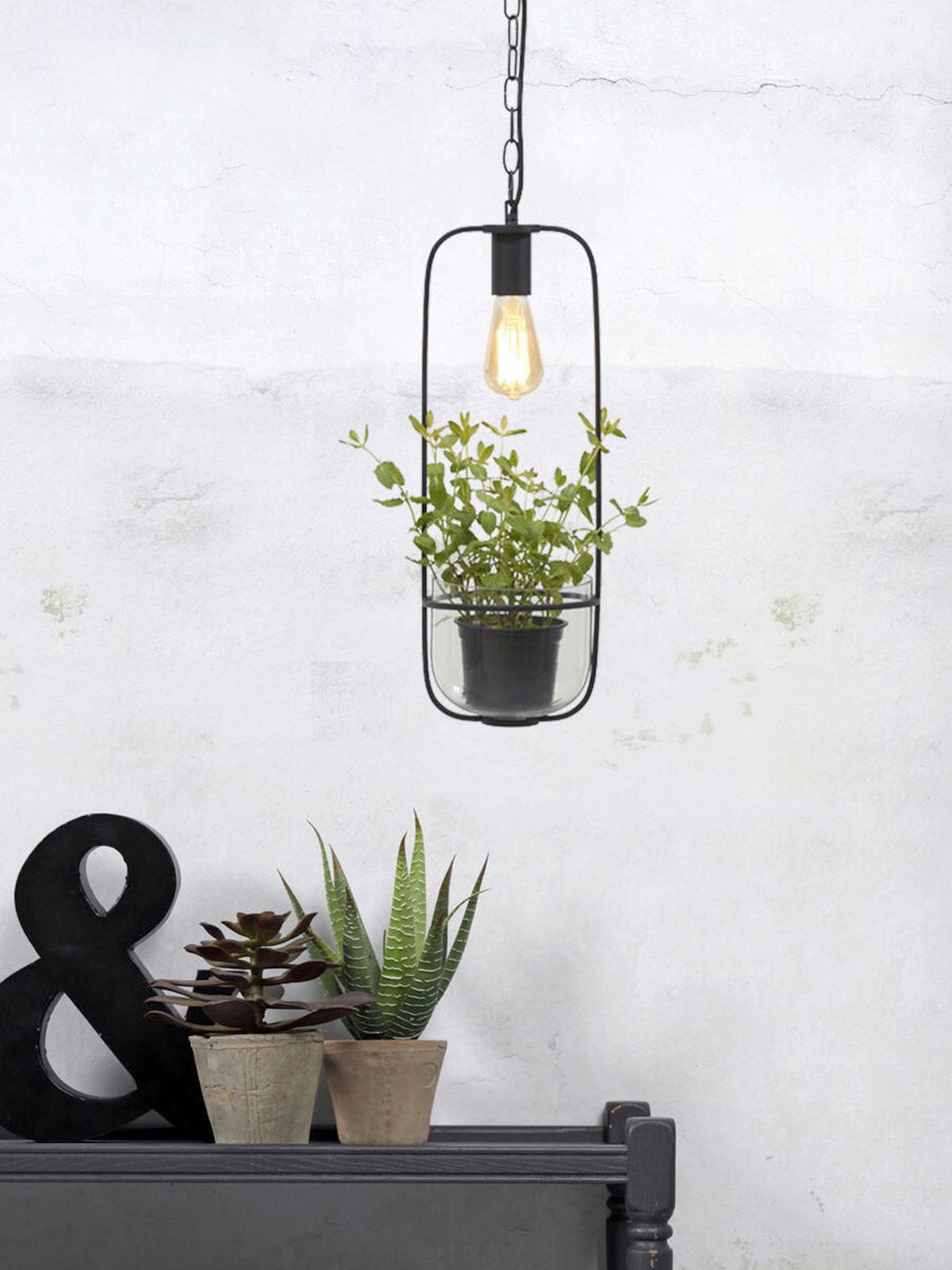 Hängeleuchte Florence/h/b - Transparent/Schwarz, Trend (19/52cm) - It's about Romi