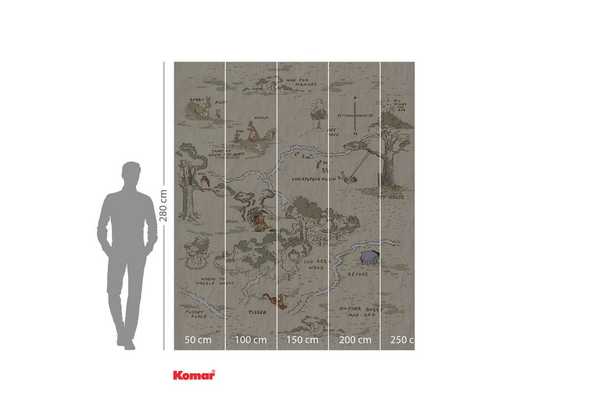 Fototapete Winnie The Pooh Map - Schwarz/Braun, Trend, Textil (200/240cm)
