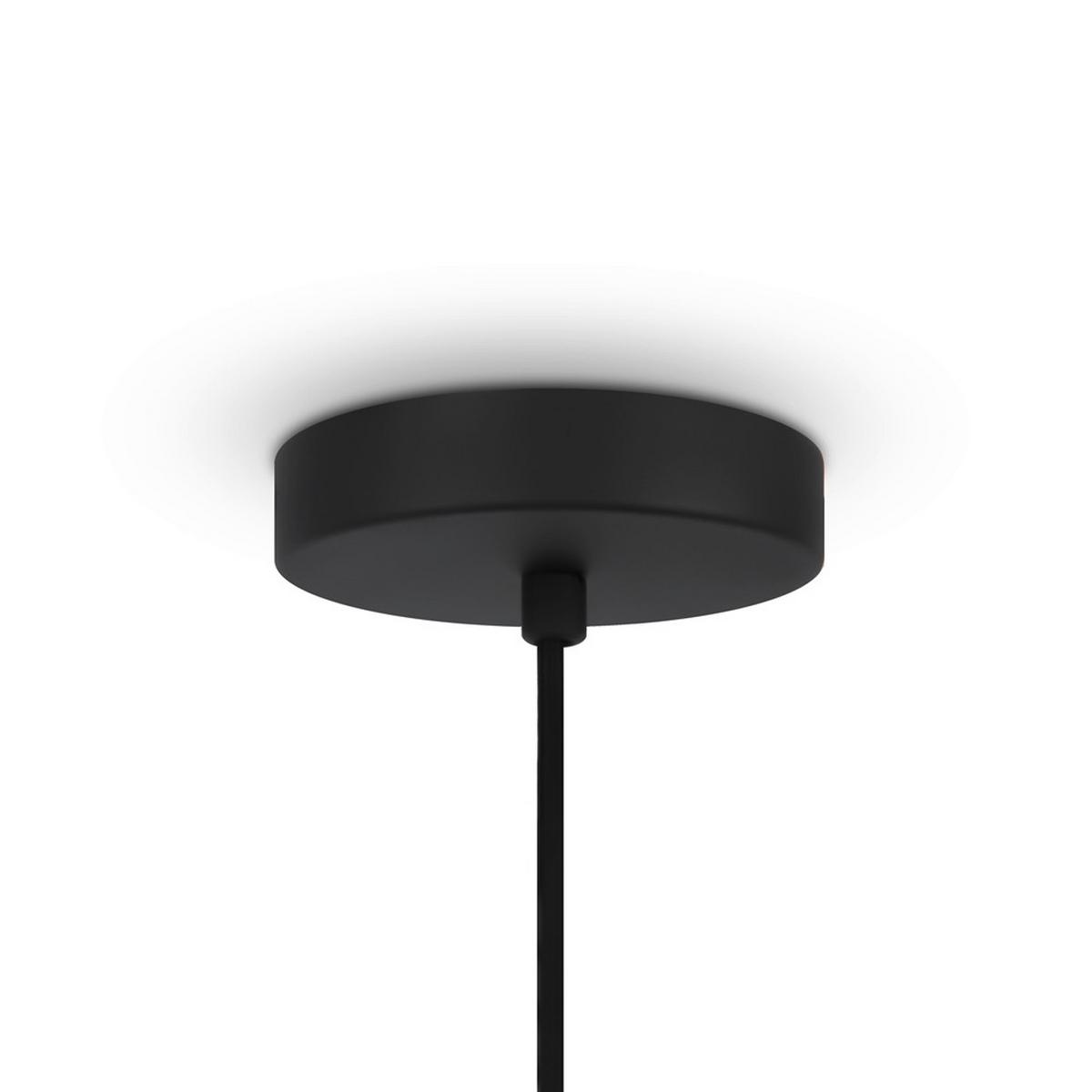 Pendelleuchte Roots - Schwarz, MODERN, Metall (60/72,5cm) - MAYTONI