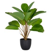 Kunstpflanze Philodendron Kunststoff, Grün, H: 45 cm - Schwarz/Braun, Basics, Kunststoff (45cm) - P & B
