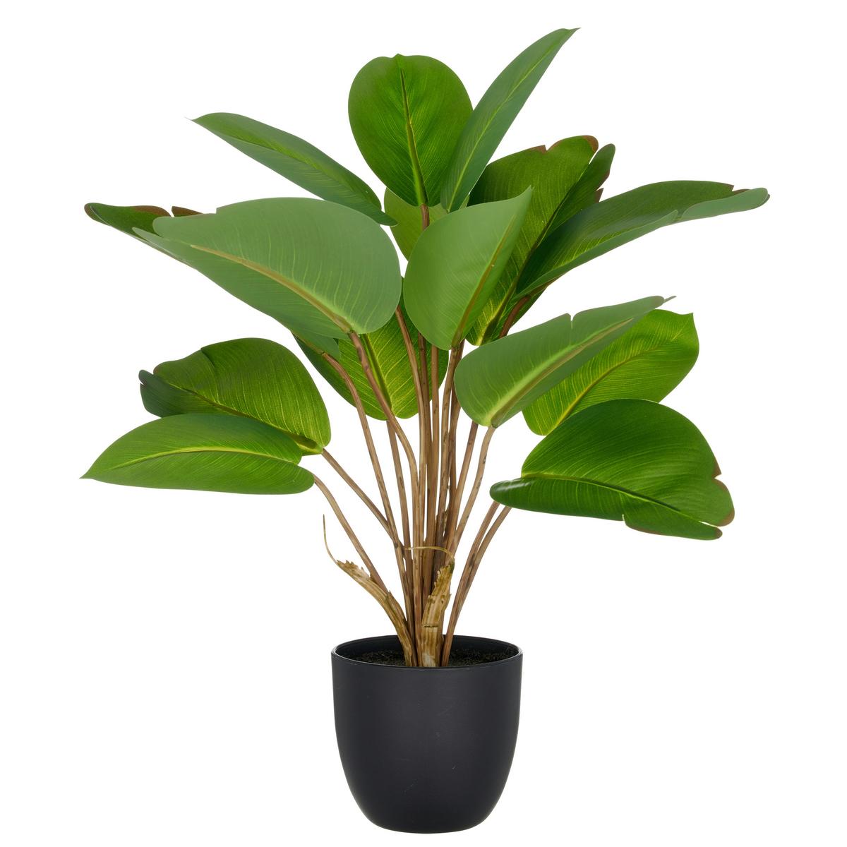 Kunstpflanze Philodendron Kunststoff, Grün, H: 45 cm - Schwarz/Braun, Basics, Kunststoff (45cm) - P & B