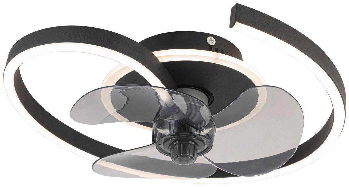 Deckenventilator Zana - Transparent/Schwarz, MODERN, Kunststoff/Metall (40/13cm) - Luca Bessoni