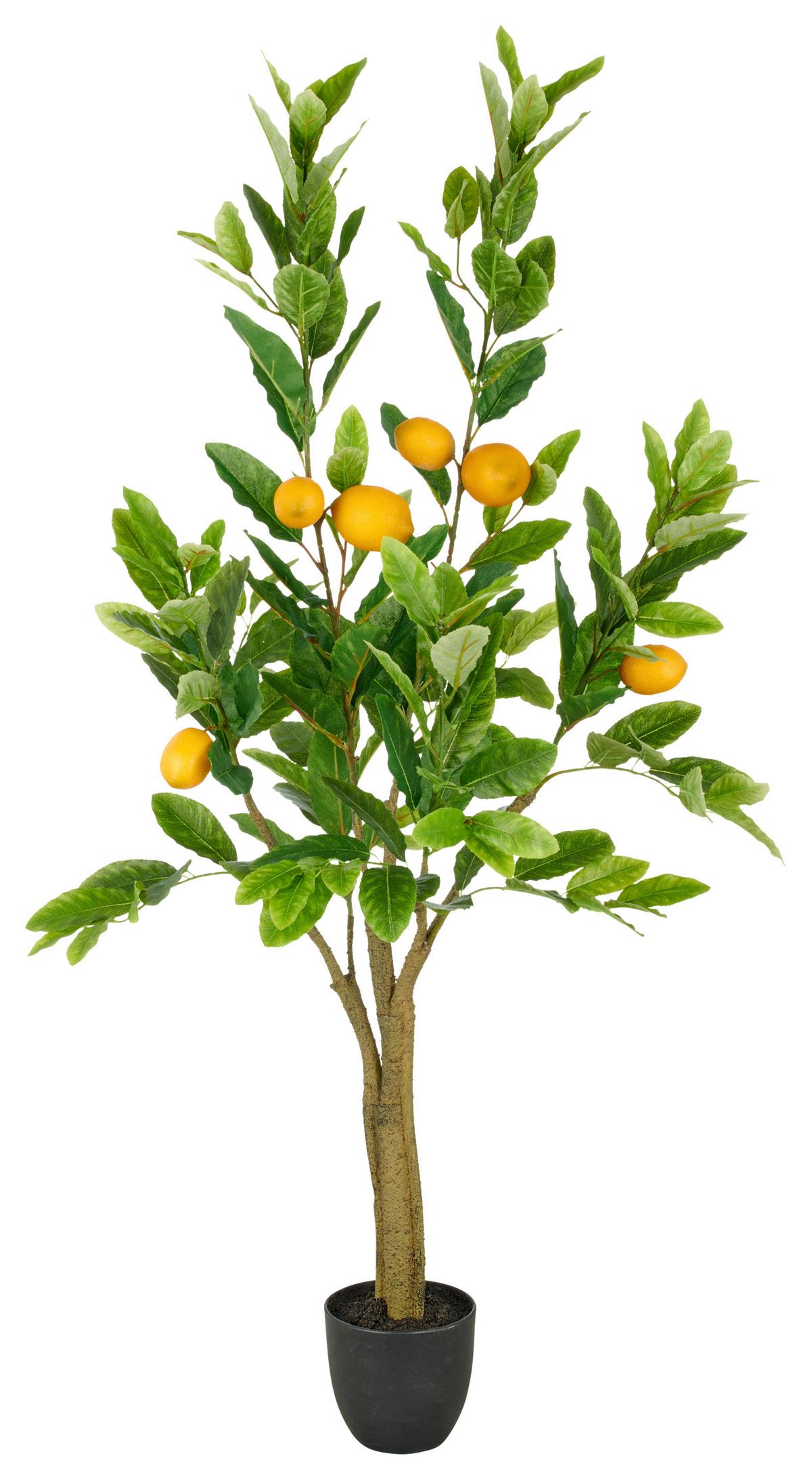 Umelá rastlina výška: 120 cm - čierna/žltá, Trend, plast (120cm)