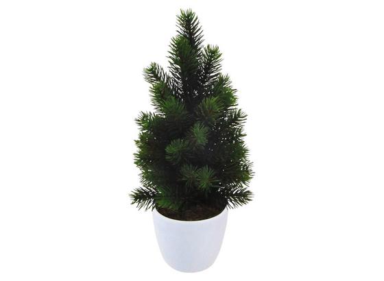 Umelá Rastlina Jedlička I - hnedá/zelená, kov/plast (38cm) Umelá Rastlina Jedlička I - hnedá/zelená, kov/plast (38cm)