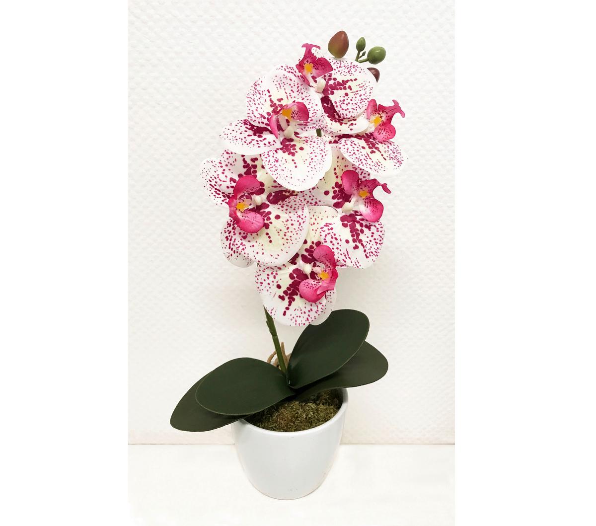 Kunstpflanze Orchidee Bunt H: 40 Cm Im Topf, Sofie - Lila/Weiß, KONVENTIONELL, Keramik/Kunststoff (40cm)