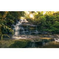 Fototapete Golden Falls - Multicolor, Trend, Textil (450/280cm)