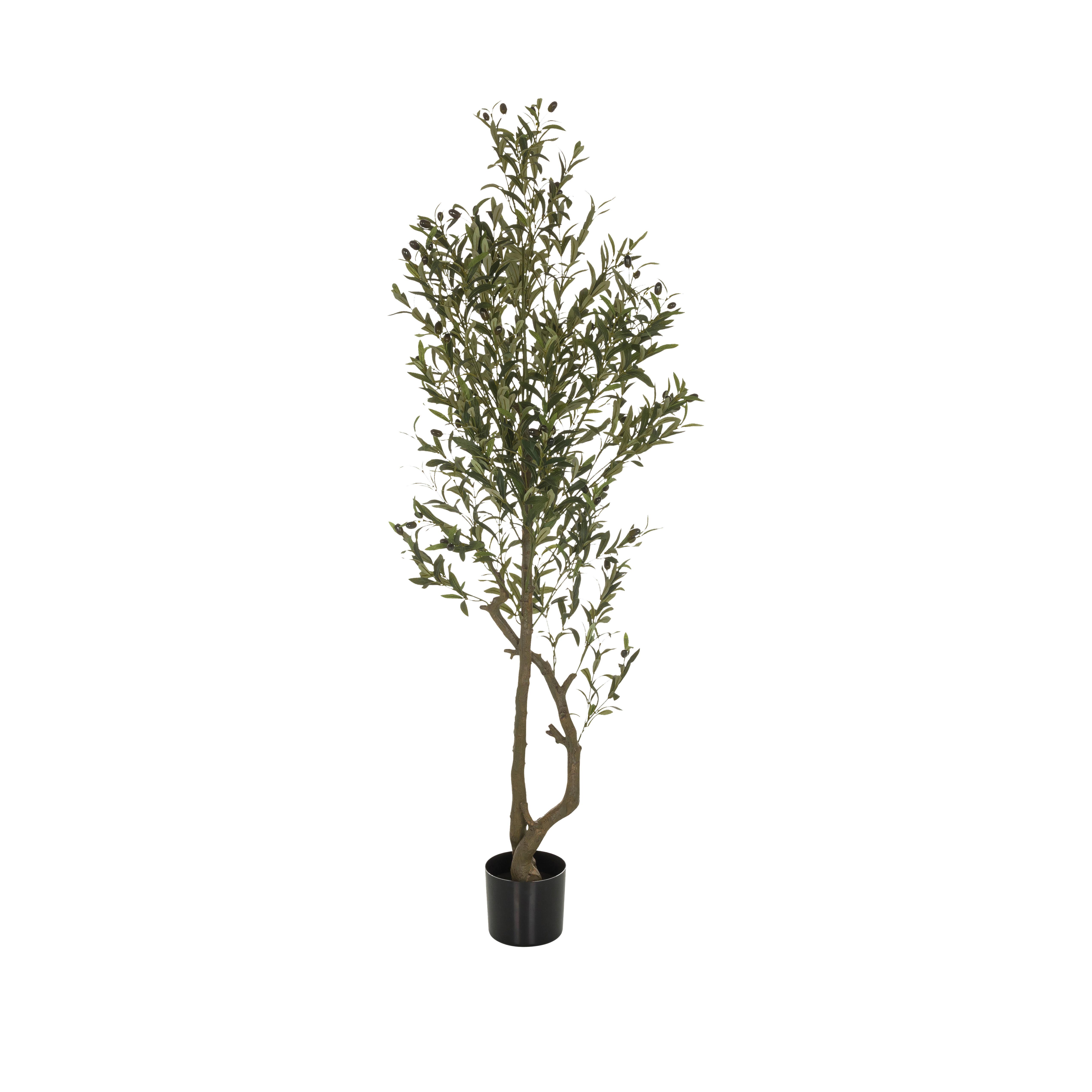 Kunstpflanze Olive I - Schwarz/Braun, Basics, Kunststoff (50/172/50cm) - MID.YOU