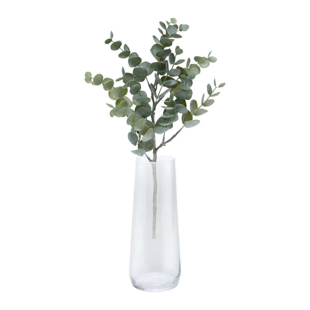 Váza P/V: 10/24CM - číra, Konventionell, sklo (10/24cm) - Based