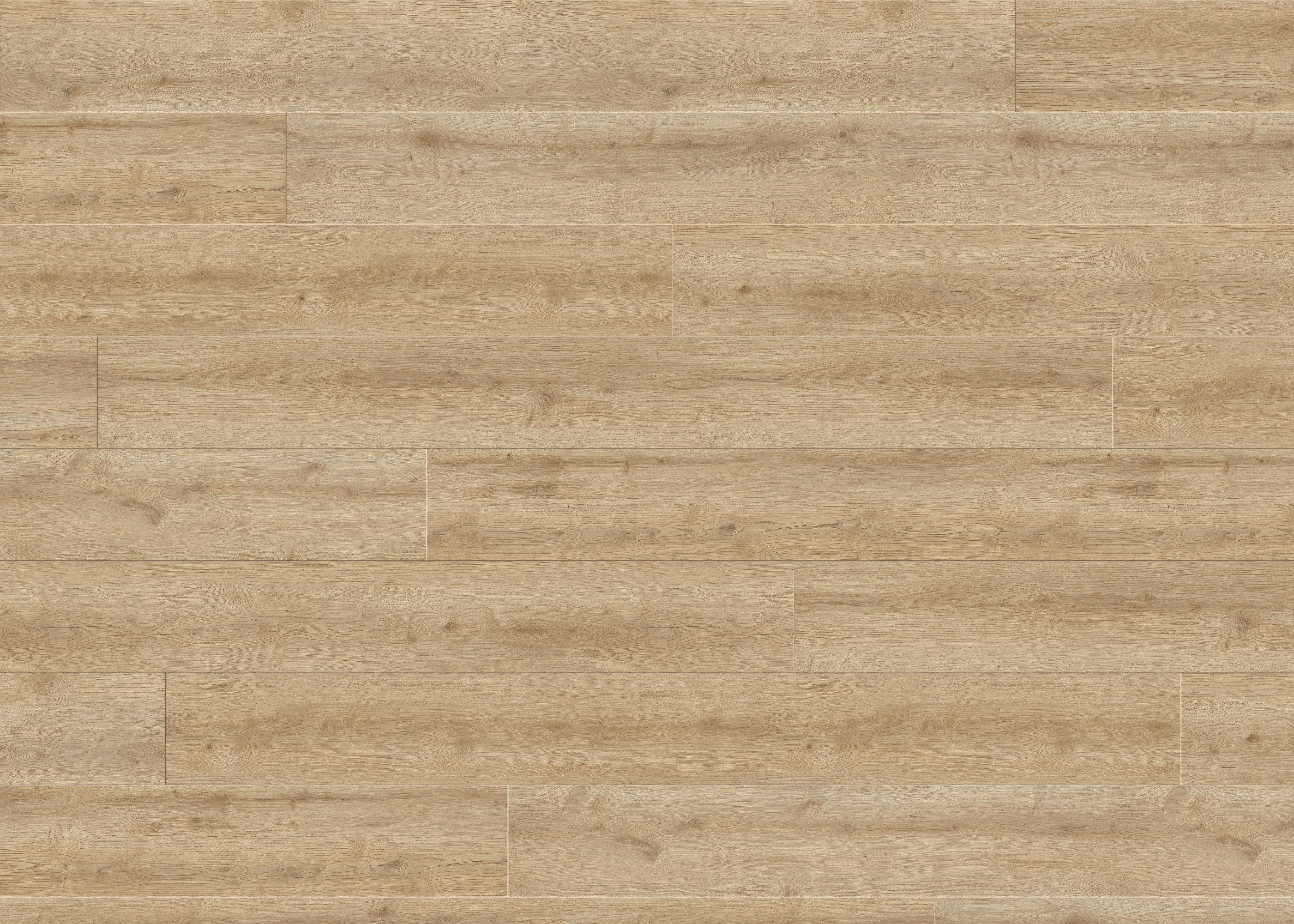 Designboden Hellbraun Landhausdiele Stärke 8mm - Hellbraun, Basics, Holzwerkstoff (24.3/220cm) - Living by HARO