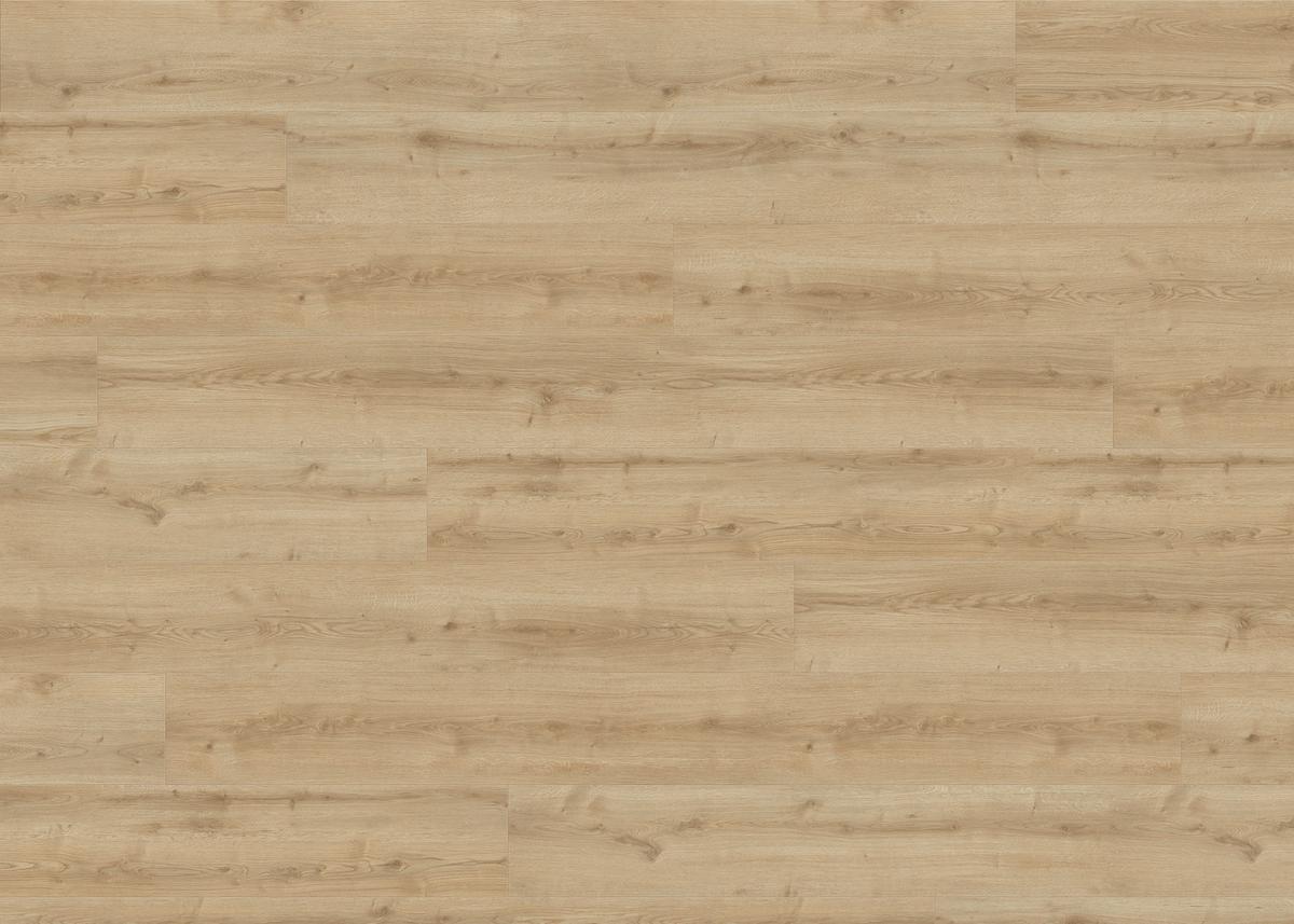 Designboden Hellbraun Landhausdiele Stärke 8mm - Hellbraun, Basics, Holzwerkstoff (24.3/220cm) - Living by HARO