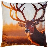 Zierkissen Forest - Multicolor, ROMANTIK / LANDHAUS, Textil (45/45cm) - James Wood