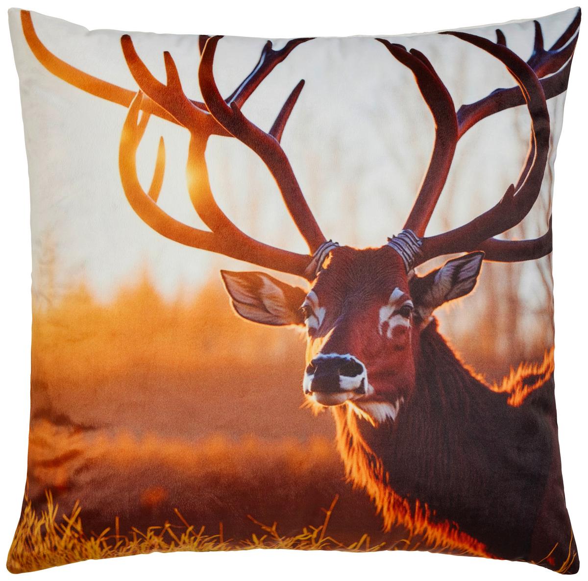 Zierkissen Forest - Multicolor, ROMANTIK / LANDHAUS, Textil (45/45cm) - James Wood