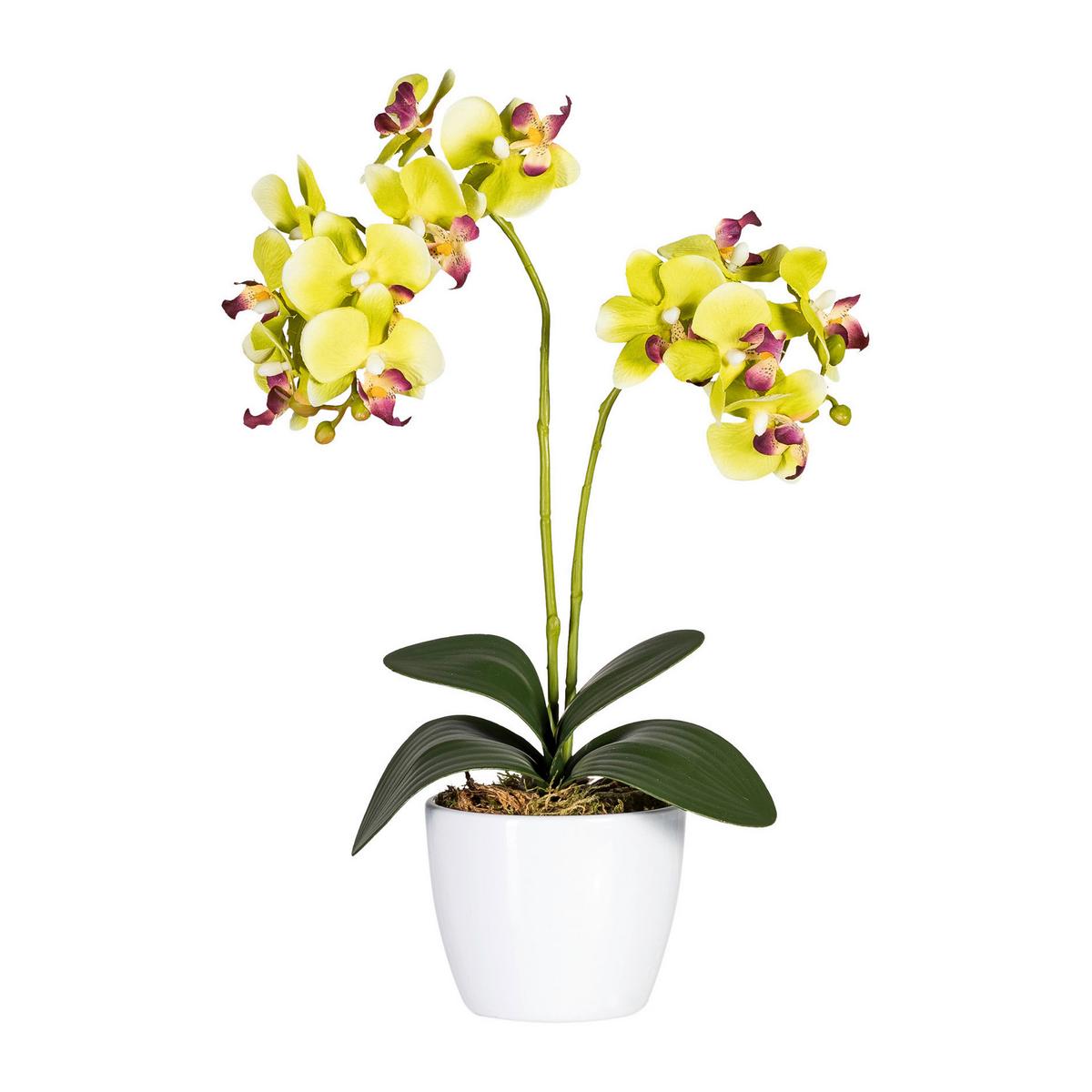 Kunstpflanze Orchidee Bunt H: 40 Cm Im Topf, Sofie - Lila/Weiß, KONVENTIONELL, Keramik/Kunststoff (40cm)