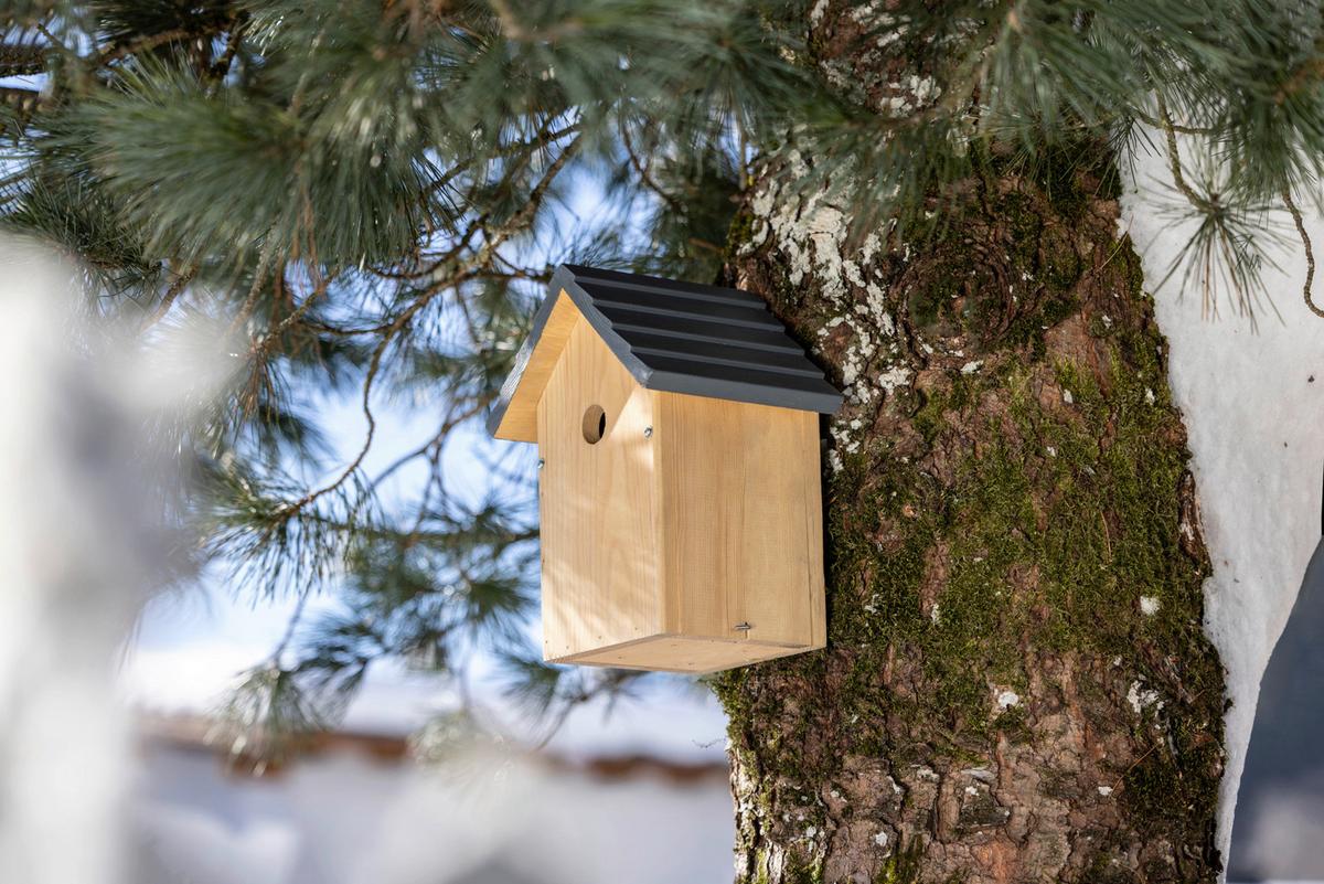 Nistkasten Cosy, Kiefer - Kieferfarben, Basics, Holz (20/27/17cm) - Windhager