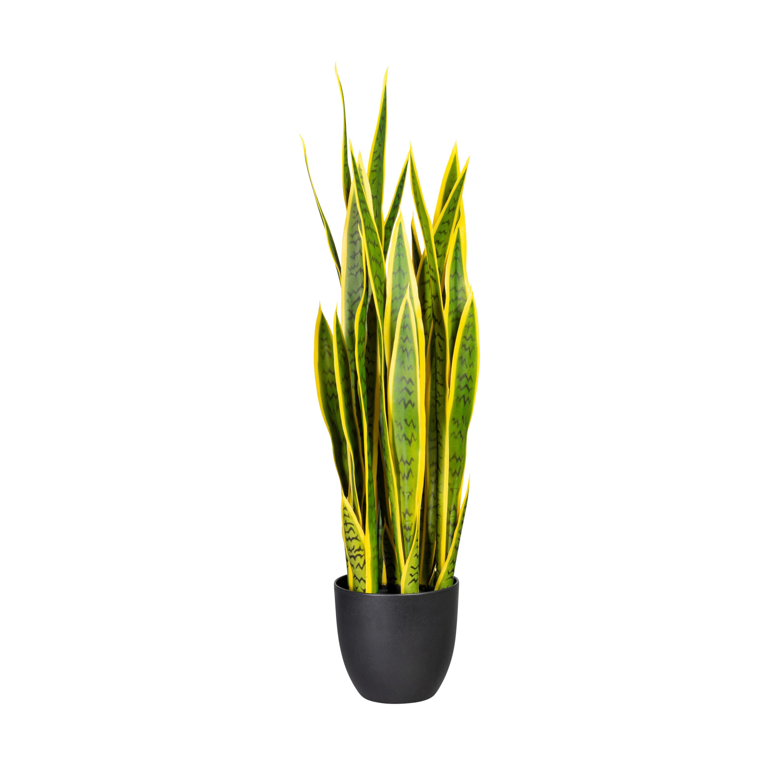 Kunstpflanze Sukkulenten Gelb/Grün, 90 cm - Gelb/Schwarz, Design, Kunststoff (90cm)