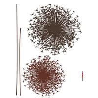 DEKOSTICKER 17004H - Klar/Braun, Natur, Kunststoff (50/70cm)