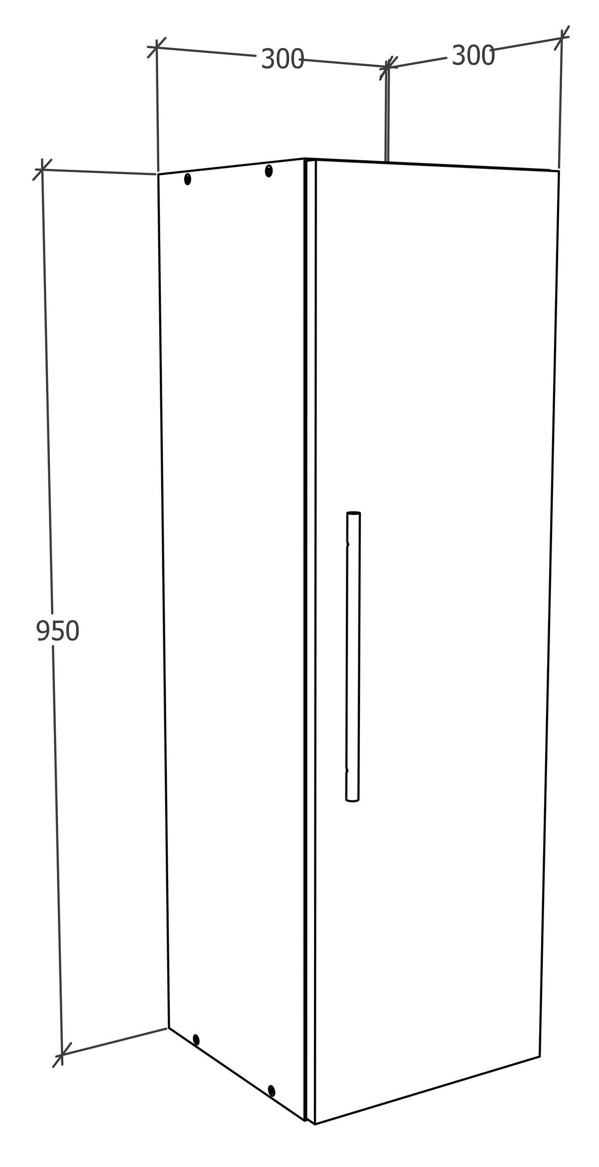 Závěsná skříňka Arila š: 30 cm, bílá - bílá/černá, Moderní, kov/kompozitní dřevo (30/115/30cm) - MID.YOU