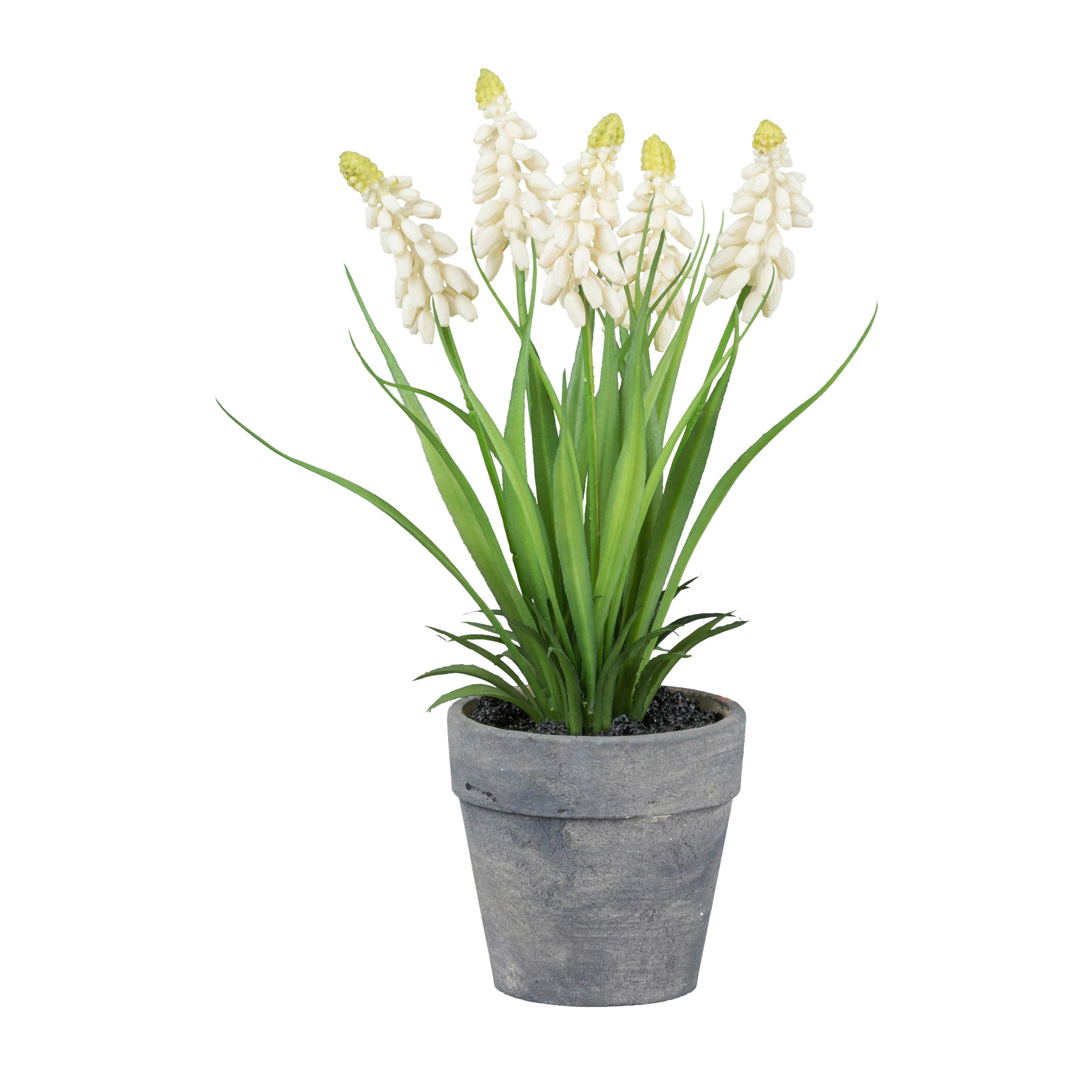 Umělá rostlina MUSCARI I - šedá/bílá, Basics, plast (25cm) - Modern Living