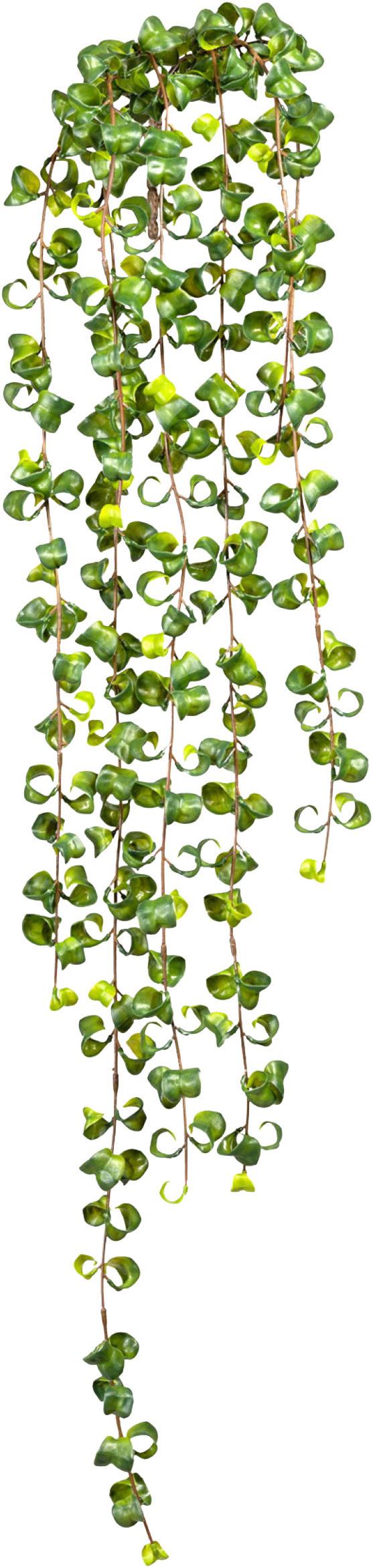 Kunstpflanze Hängepflanzen Grün, 100 cm - Grün, Design, Kunststoff (100cm) - P & B