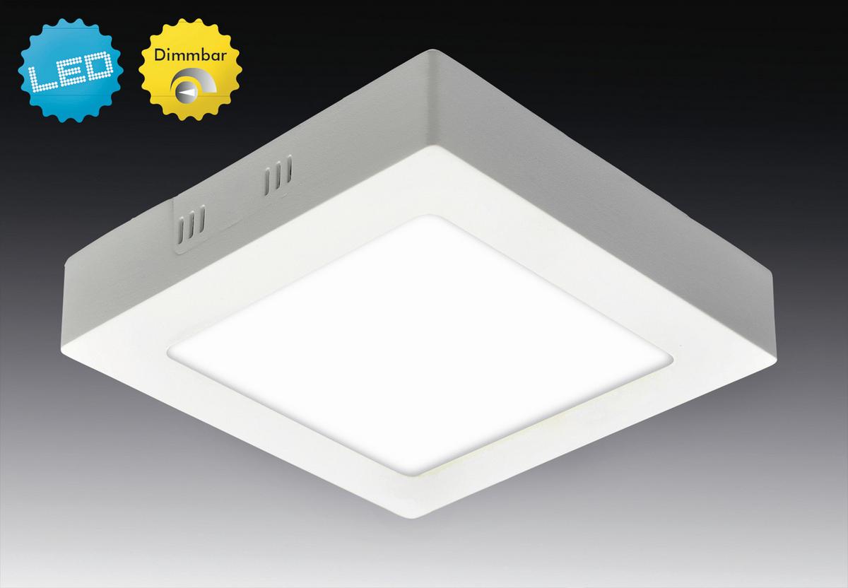 LED-Deckenleuchte L: 30 cm dimmbar - Weiß, Basics, Kunststoff/Metall (30/30/3,5cm) - Näve