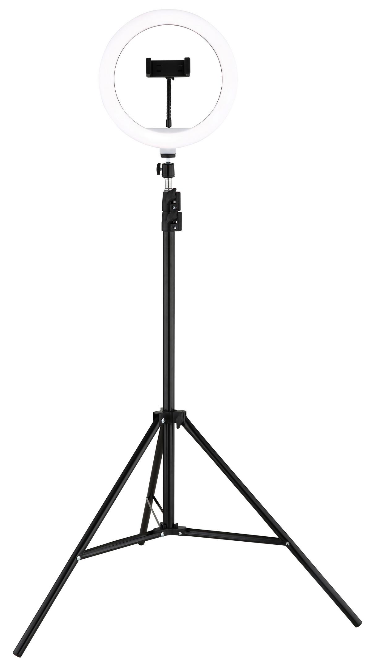 LED-STEHLEUCHTE Delgado - Opal/Schwarz, Design, Kunststoff/Metall (63/210cm) - Globo