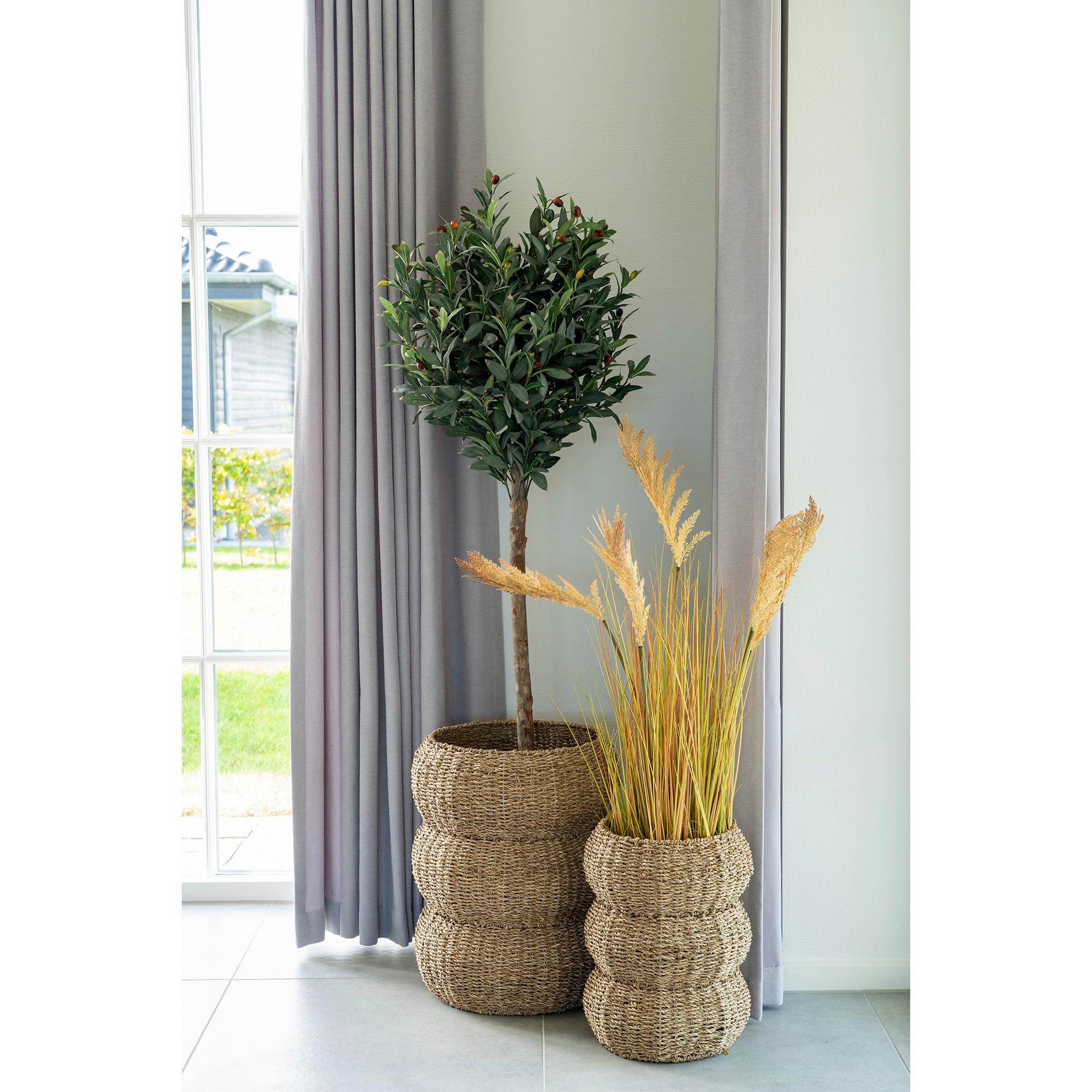 Korbset Sarbas Hellbraun B: 35 cm - Hellbraun, Basics, Naturmaterialien (35/45/35cm)
