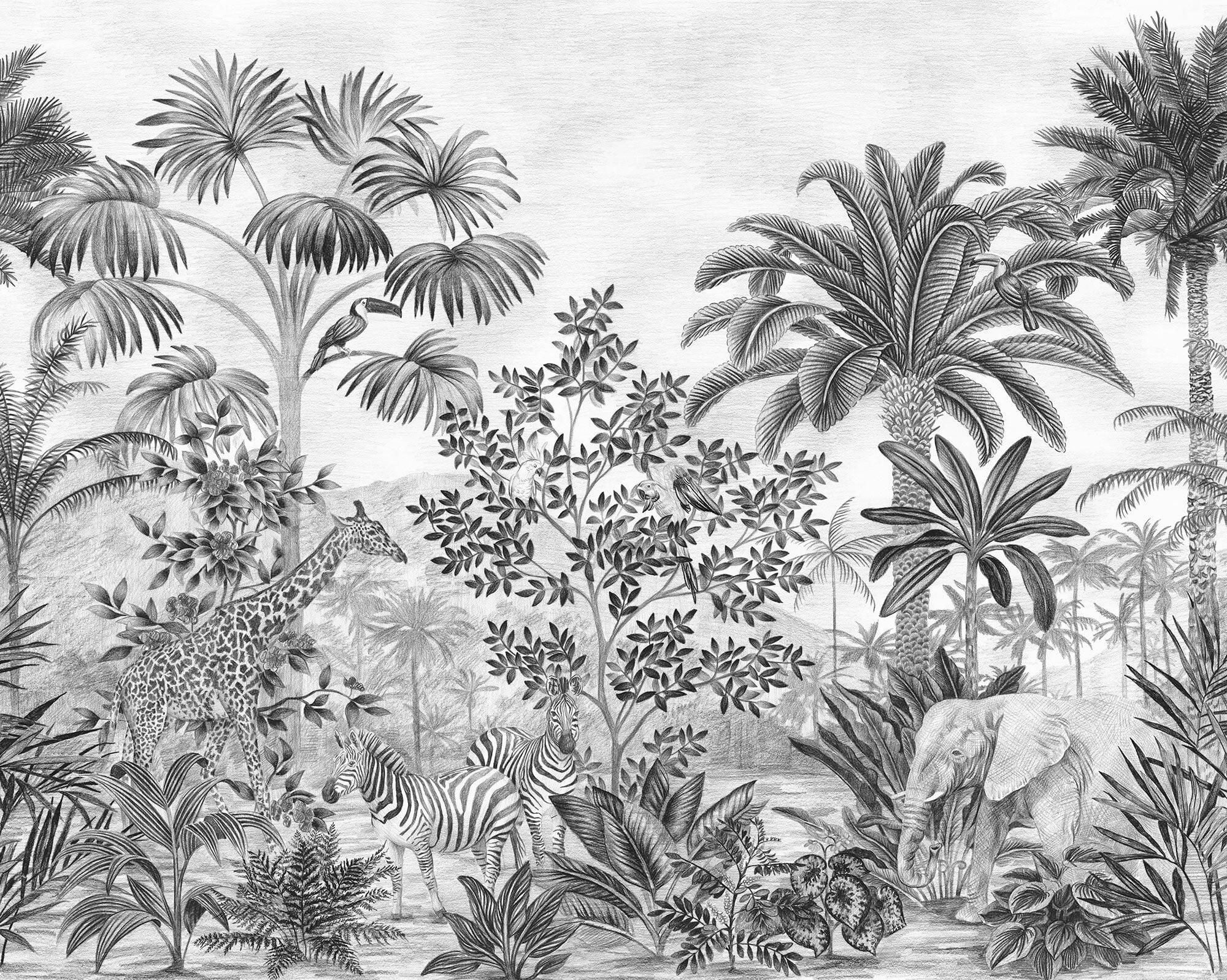 Fototapete Jungle Evolution - Schwarz/Weiß, Trend, Papier (300/280/1cm)