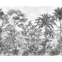 Fototapete Jungle Evolution - Schwarz/Weiß, Trend, Papier (300/280/1cm)