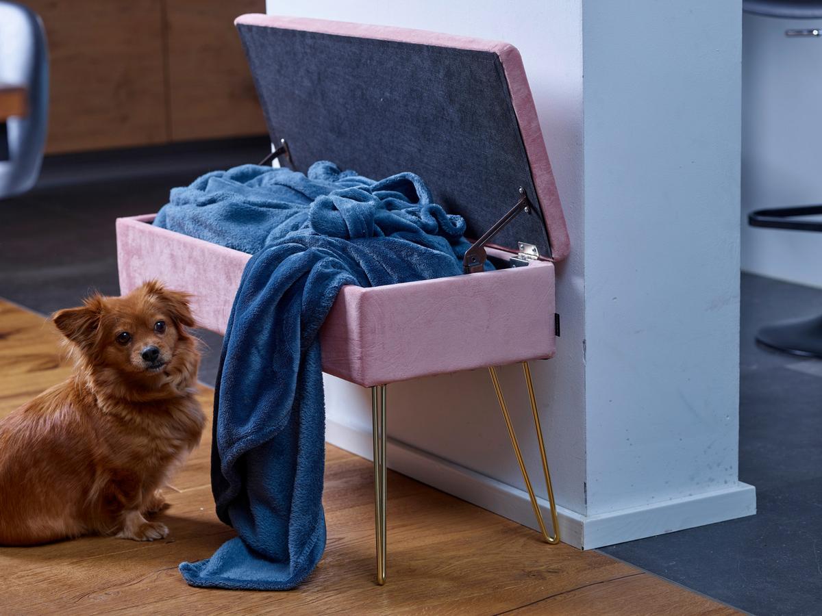 Hockerbank Scarlett Vlies Rosa H: 42 cm inkl. Stauraum - Goldfarben, Design, Textil (75/42cm) - Echtwerk