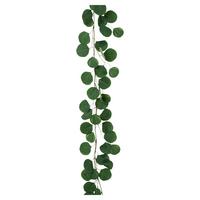 Umělá rostlina EUKALYPTUSGIRLANDE, D: 190 cm - zelená/hnědá, Konvenční, plast (190cm) - Mömax